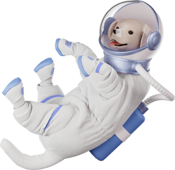 dog in space